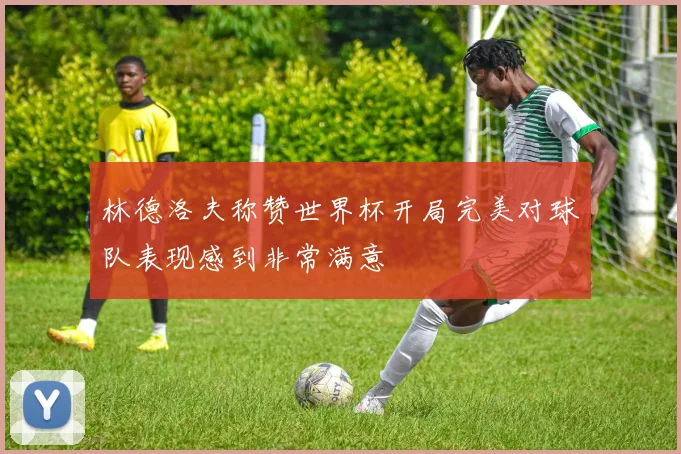 林德洛夫称赞世界杯开局完美对球队表现感到非常满意