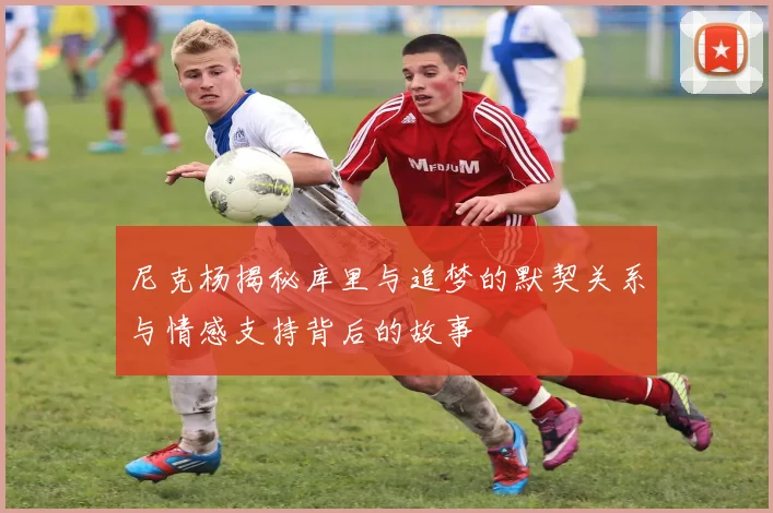 尼克杨揭秘库里与追梦的默契关系与情感支持背后的故事